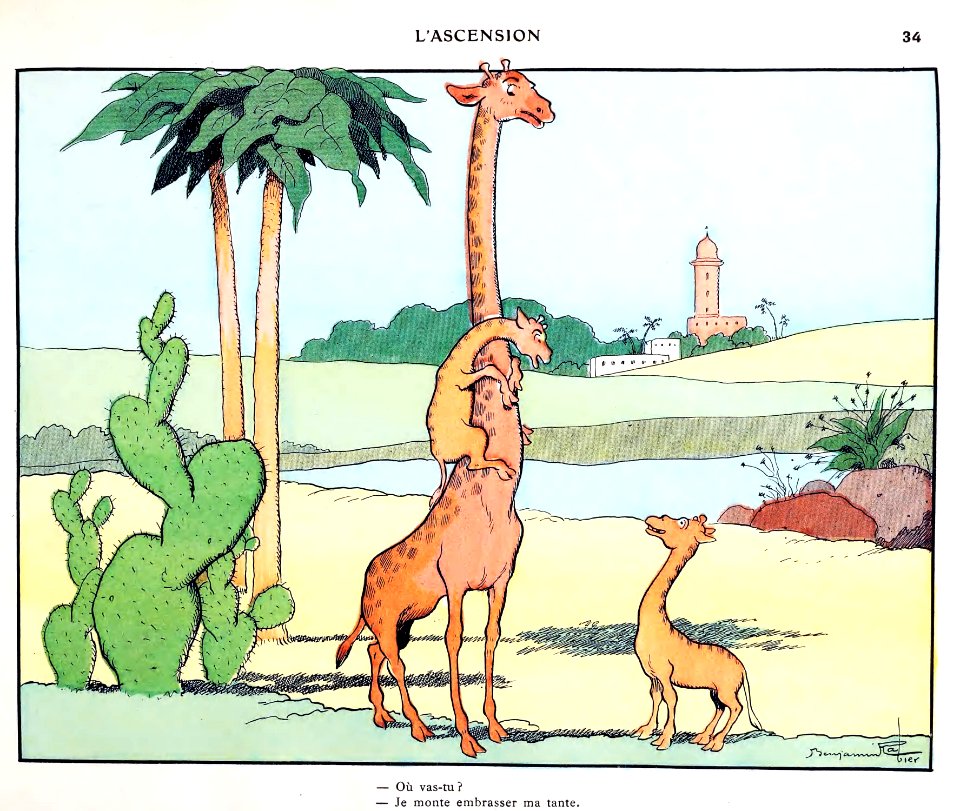 Les petites misères de la vie des animauxby Rabier, Benja…