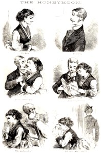 The Honeymoon