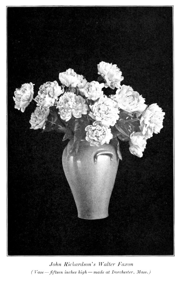 Peonies in the little garden by Alice Howard Harding publi…