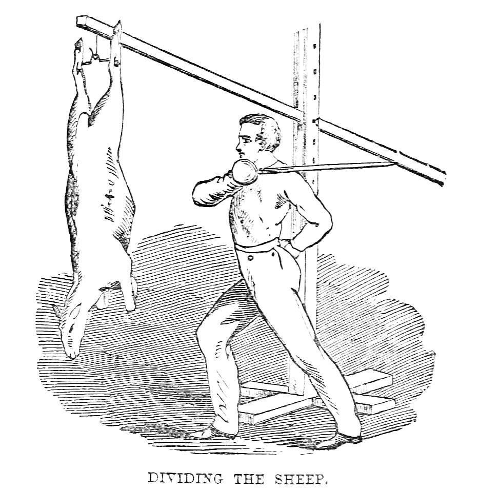 Indian clubs, dumb-bells, and sword exercisesby Harrison p…