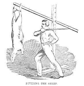 Indian clubs, dumb-bells, and sword exercisesby Harrison p…