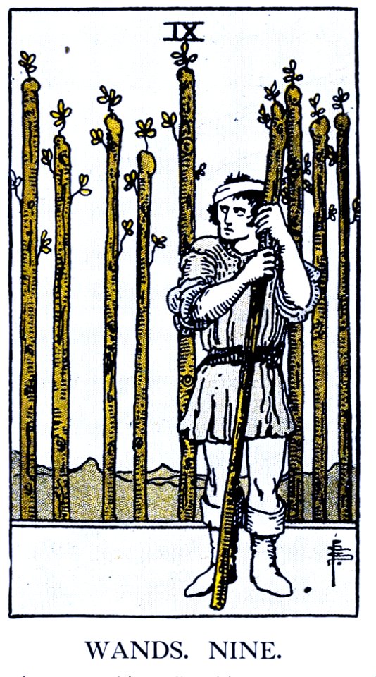 The illustrated key to the tarot : the veil of divination