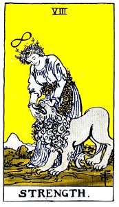 The illustrated key to the tarot : the veil of divination
