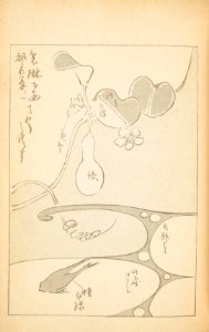 Shinbijutsukai1_0280