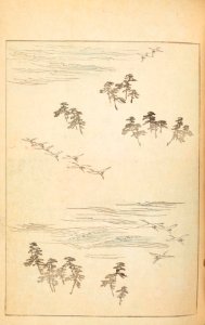 Shinbijutsukai1_0260