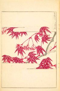 Shinbijutsukai1_0344