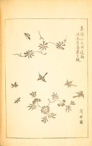 Shinbijutsukai1_0229