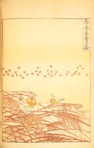 Shinbijutsukai1_0195