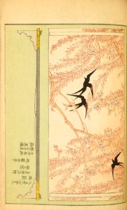 Shinbijutsukai1_0146