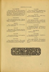 Examples of Chinese ornament (1867) 005