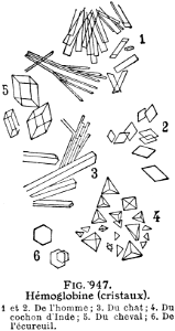 hémoglobine-cristaux
