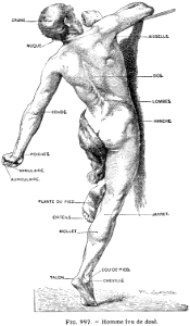 homme de dos