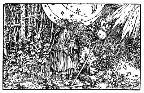 0-sorcière (livre) tout