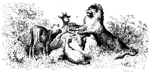 la génisse, la chèvre…