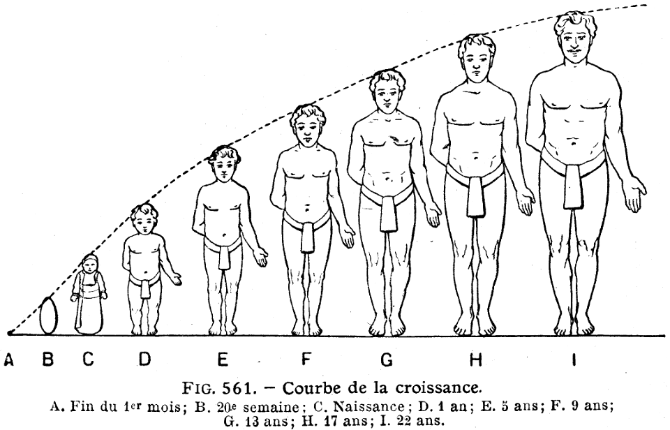 croissance