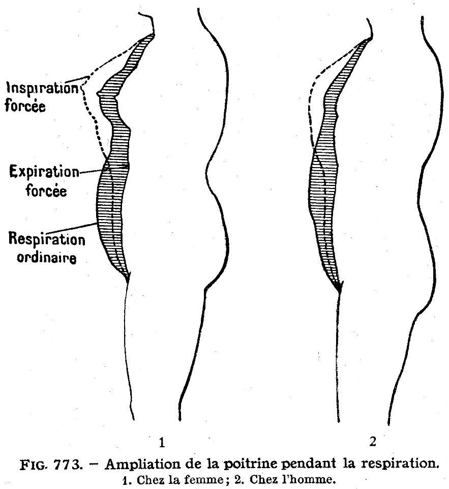 ampliation