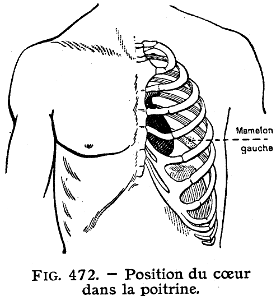 cœur-position