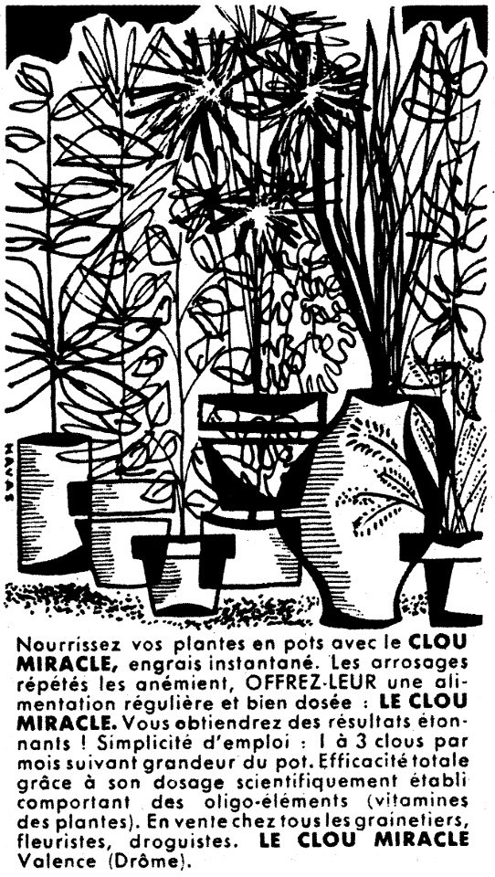 clou miracle
