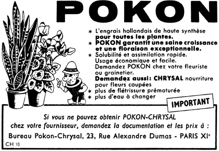 Pokon
