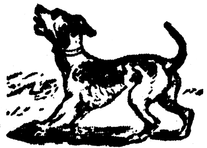 chien