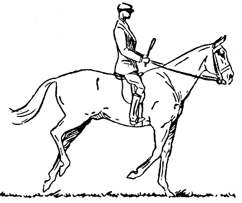 cheval-galop-4