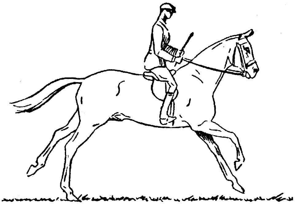 cheval-galop-3 - Free Stock Illustrations | Creazilla