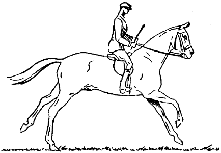 cheval-galop-3
