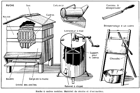 ruche et matériel