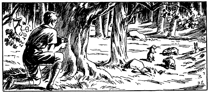 scène-forêt-1