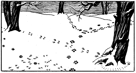 scène-hiver-1