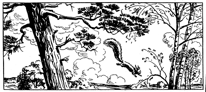 scène-écureuil