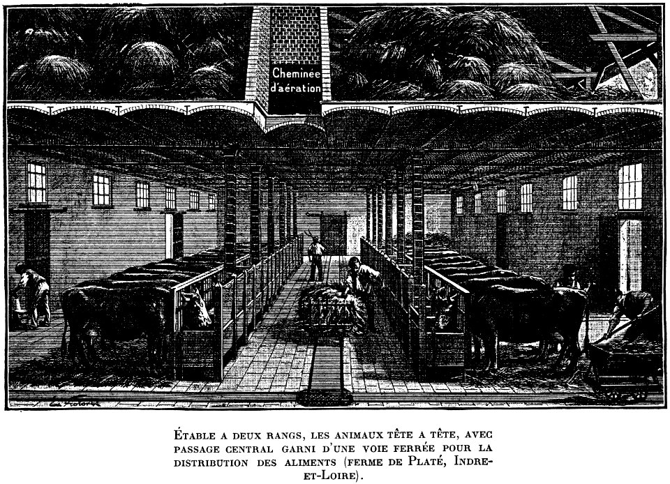 etable-OA