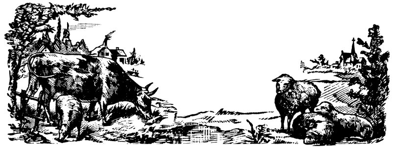 betail-002