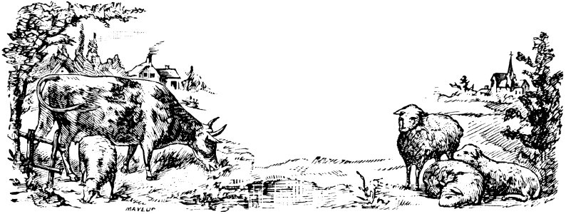 betail-001