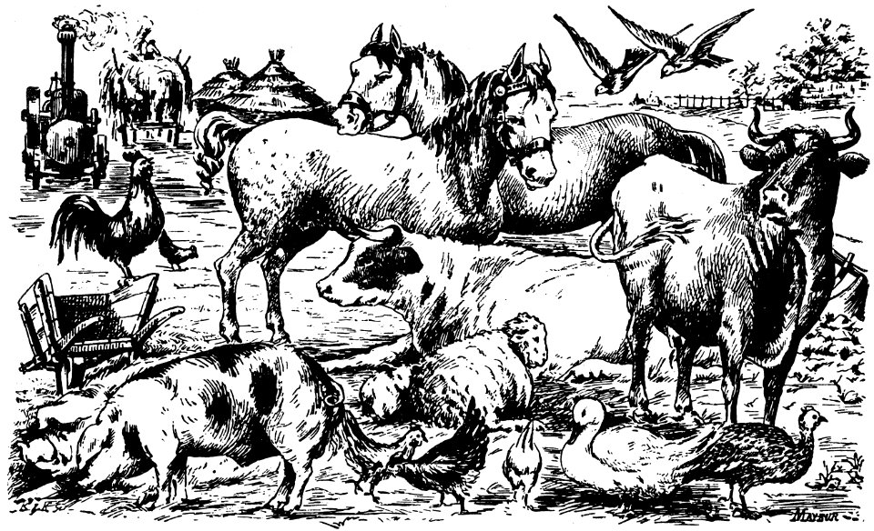 animaux-ferme-001