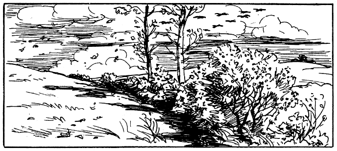 scène-automne