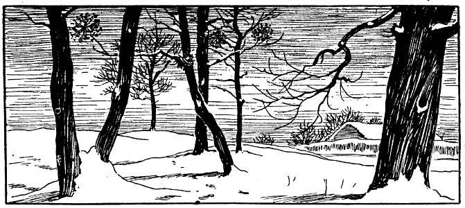 paysage-hiver-1