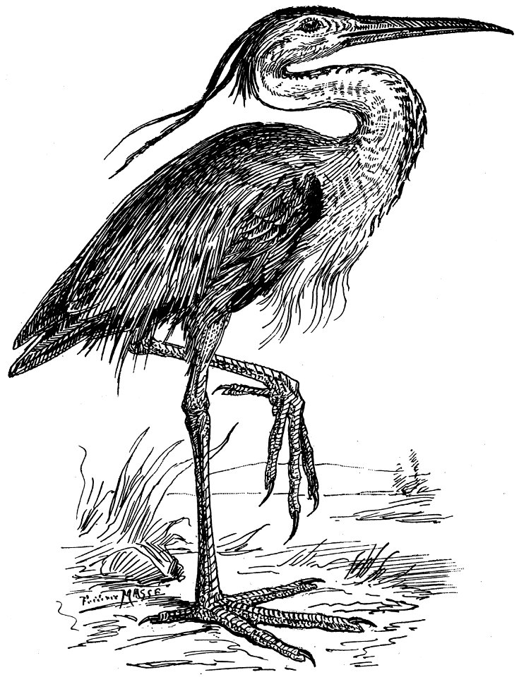 heron-001-MO