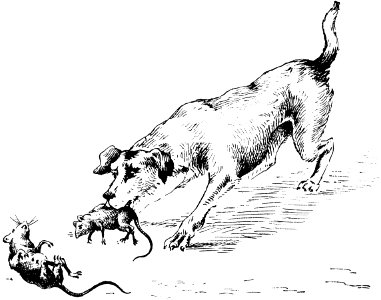 chien-007