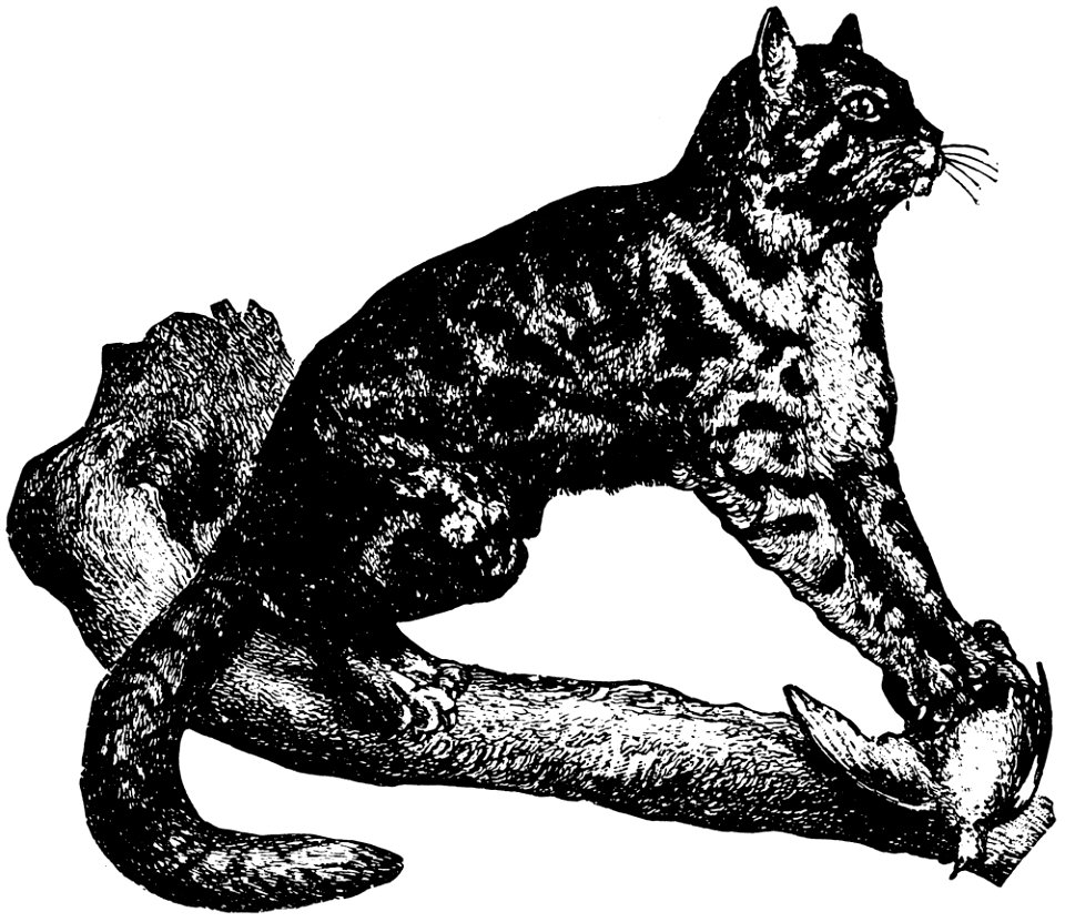 chat-013