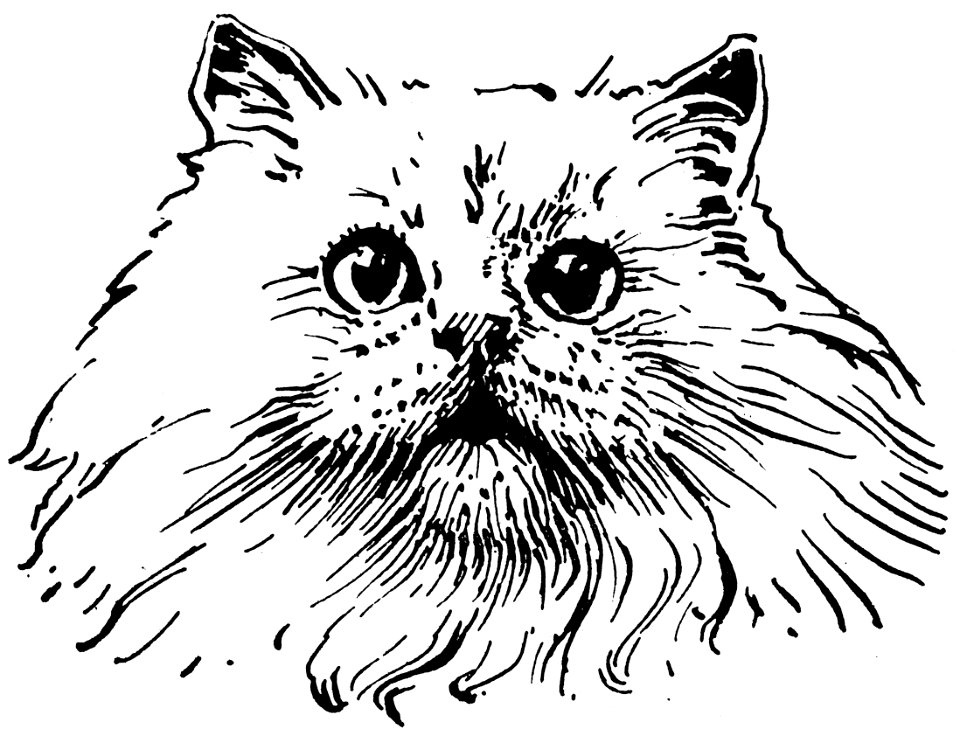 chat-005-AP