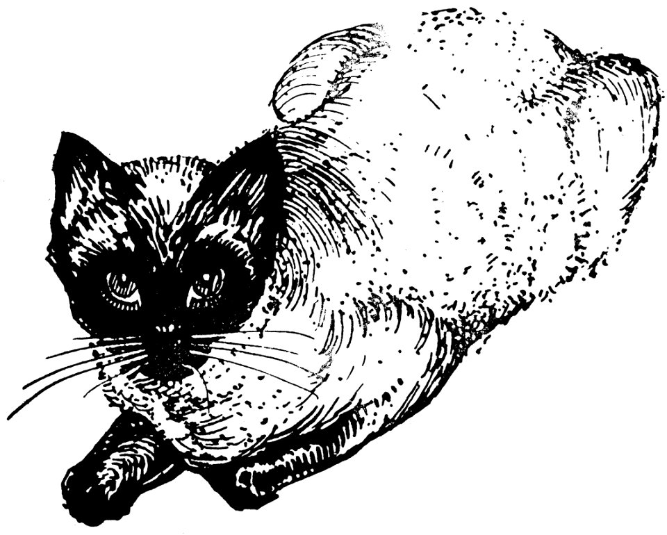 chat-004-AP
