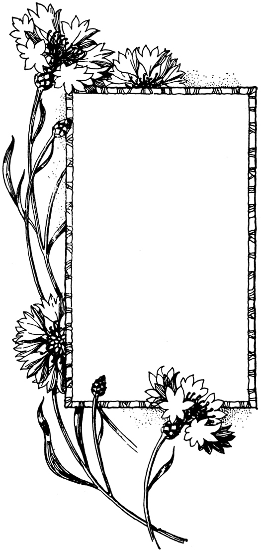 passe-partout-025