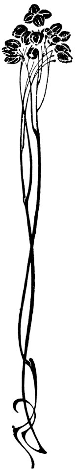 ornement-121