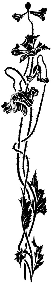 ornement-119