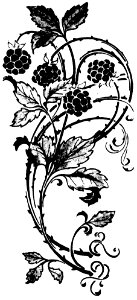 ornement-088