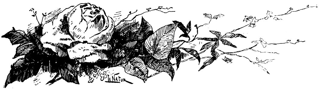 fleur-005