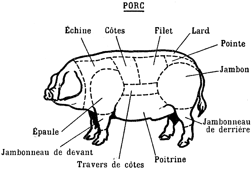 viande-porc - Free Stock Illustrations | Creazilla