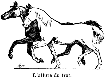 trot