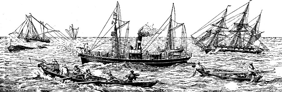 pêche-2